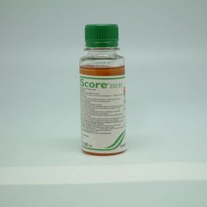 Score 250 EC 100ml