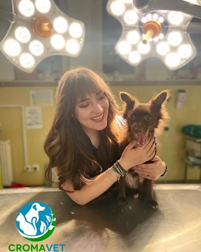 WhatsApp Image 2026-02-18 at 21.50.49